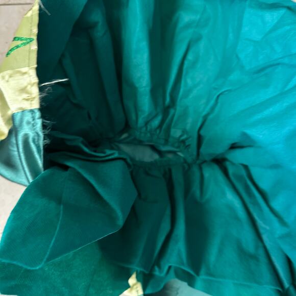 Disney Frozen Princess Anna Coronation Dress Halloween Costume Toddler 4-6 Kids - Picture 6 of 11